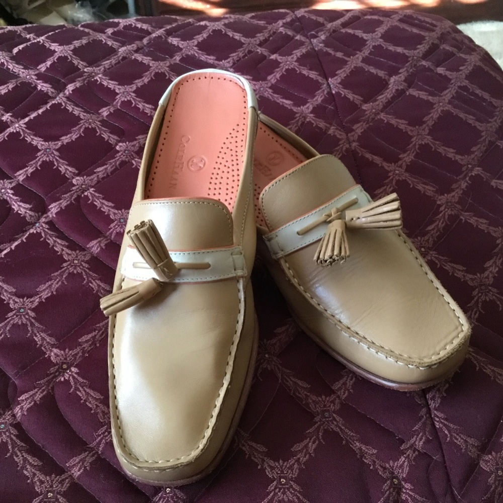 Nice shoes - Picture 2 of 6